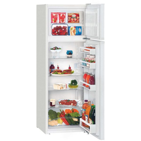Réfrigérateur - LIEBHERR CTP251-21